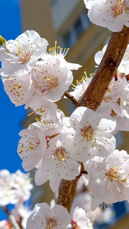 �������� ��������� � ��������