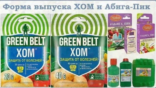 ��� ������� ����� �����-��� � ���: ������ �� ��������� ����������