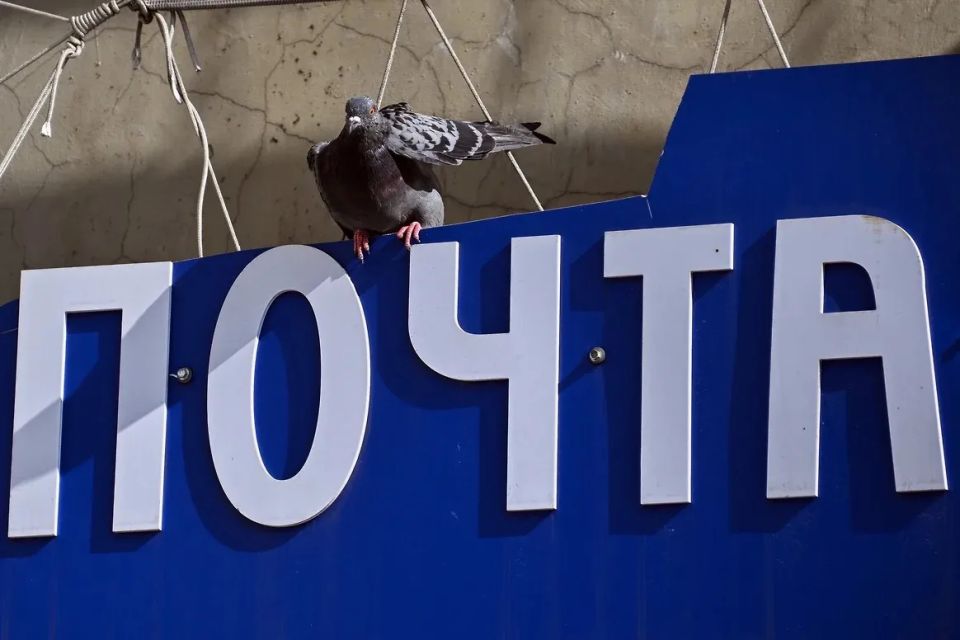 � ��������� ������� ��������� ����� �������� ���������, ����� ������ ���������