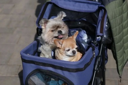 ��������� �������. ������� ������, ��� � ��� ����� ��������� � �������� ���� �����! �������� � ������������ ������������ ����� �������� ��������