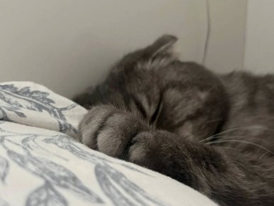 ������ ����!. 26 ������ ��������� ������������ +7...+14 �C ��������� ��������� ������