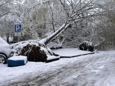 ����� �� �������� ���������� ���������� �� ������?