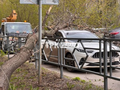 ��������� ����� ����������� ������� ������ �� ������ �� ����� ��������