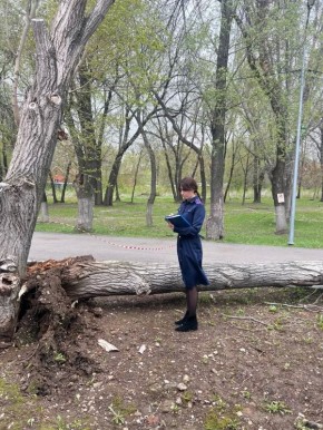 ������� �����, ��� ���� ��������� ��� ������� ������ � ������, �������� � ����������� �������