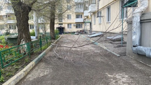 27 ������ ������ ��������� �� ������ ���������� �����