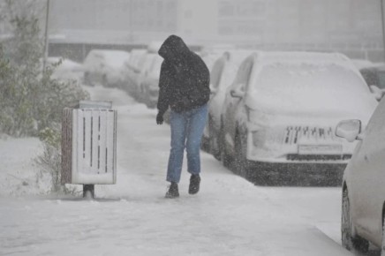 �������� ����������� �� ���: � ������ ������ ��������� � ������ �������