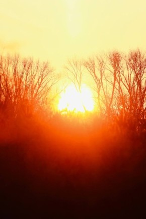 ��������� �� ��������� ��������� �������