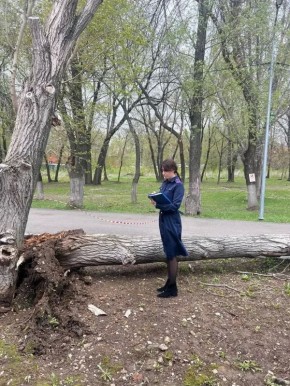 ��������� �����������. � ��������� ������� �������� ������� � ������ ���� ������� � ��������� ������� ���������� ��������� ���� �� ����� ������ ���� ������� � ���������� ������� ��������, ���������� ��������� ������