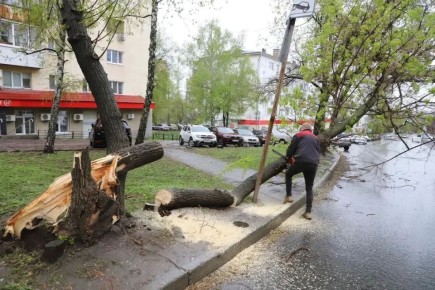 � ������ ��������� ���������� ����������� ����������� ����� � �����