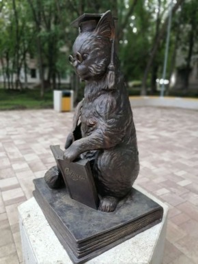 ����� 5 ��� ������� ������������� �� ������ � ���� �������������� ������-����������� �� ������� ���������������, ������� ���������� 21 ������