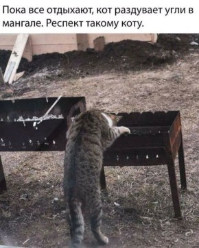 �������� ������ ����� �� ������ ������� ����� �� �������