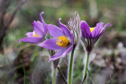 ������������ ��� ��������� ����������� ���������� 4 ���!