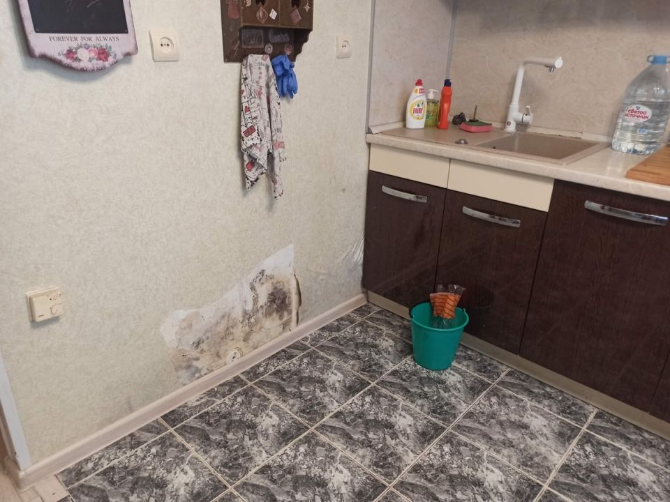 Плесень в квартире: как найти ее скрытые источники и избежать проблем