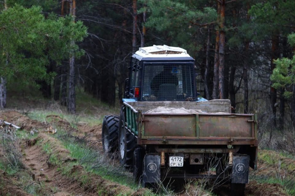 В Самарской области завершаются весенние посадки леса В Самарской области завершаются весенние посадки леса