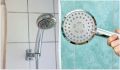 ����������� ������� ������� ������� ����� �� ������������ ������