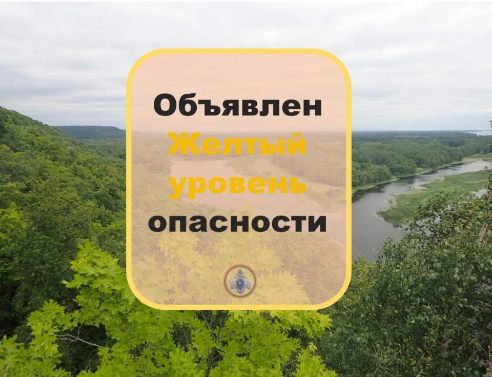 Высокая пожароопасность лесов