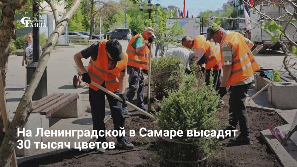 В Самаре стартовал сезон озеленения: до конца июня планируют высадить 1,5 млн цветов