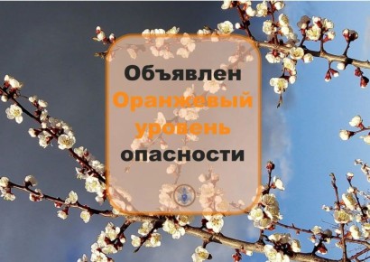 �������� ���������. �� ���� ������������ ���ѻ �������� ��������� ��������������: ��������� ��������� ������� ���������
