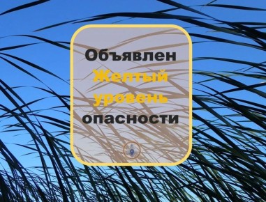 �������� �����. �� ���� ������������ ���ѻ �������� ������������: ��������� ������ ������� ���������
