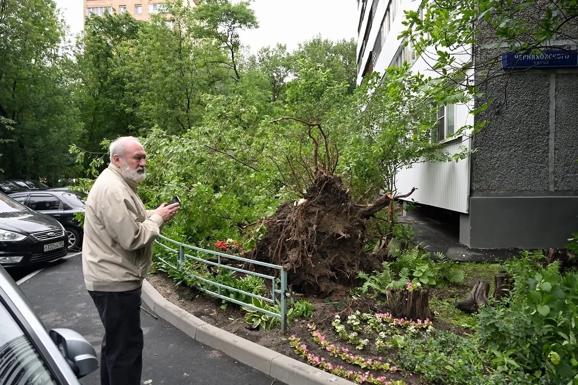 В Самаре поставят памятник девочке, погибшей от падения дерева во время урагана