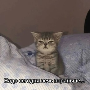 ��� �������� ����, ���� �� ���� ��� ����?