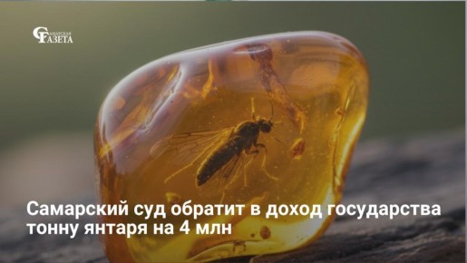 2 июня 2026 года Железнодорожный суд Самары рассмотрит иск о признании бесхозяйными 906 кг янтаря стоимостью более 4 млн рублей