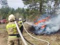 Высокий класс пожарной опасности лесов