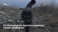 ����� �� ���������� ����������� �����-����������� ������ ���� ������������ ��� �������� � � ����������� �����������