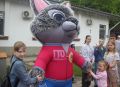 В Тольятти сотрудники полиции и общественники организовали спортивный праздник