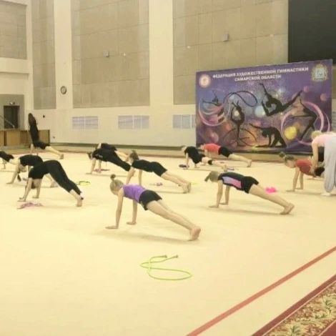 В Самарской области состоялся мастер-класс по художественной гимнастике В Самарской области состоялся мастер-класс по художественной гимнастике