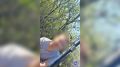 В Самарской области найден пропавший 14-летний подросток