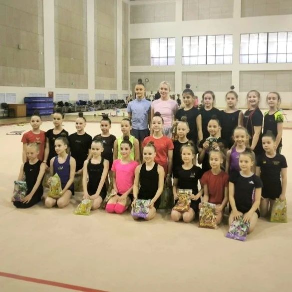 В Самарской области состоялся мастер-класс по художественной гимнастике В Самарской области состоялся мастер-класс по художественной гимнастике