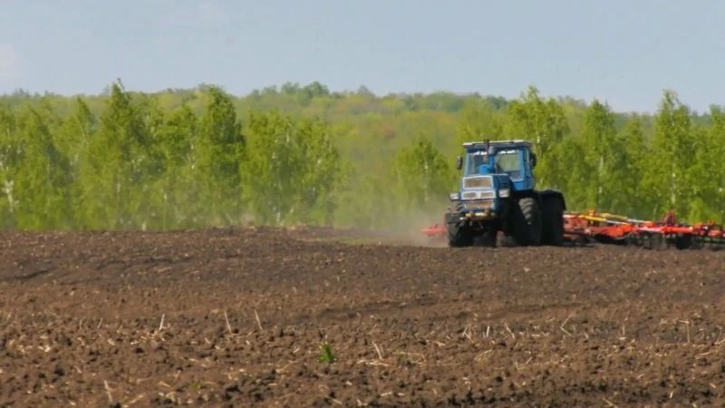 Начало посевной в регионе затянулось из-за обильных осадков