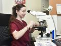 Свыше 50 000 прижизненных патологоанатомических исследований проведено в 2025 году