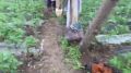 ������������� �� ��� ������ �� ��������� ������� ���������� �������