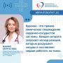 ���� ����������, ������ ����� �� ������� - "������ ���������" ��� ��������-���������� �������