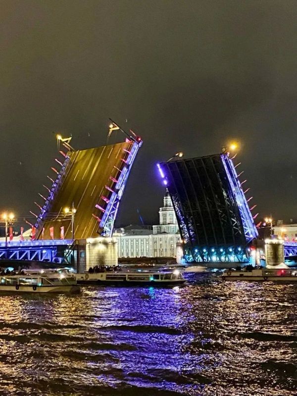 Парадная, поребрик, шаверма… Так по-питерски!