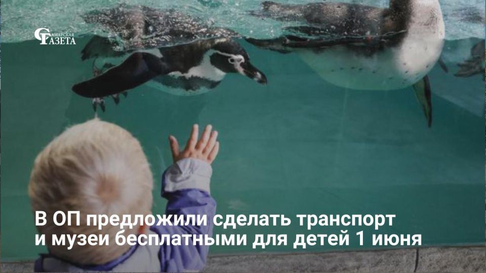 Заместитель секретаря Общественной палаты РФ Владислав Гриб предложил сделать 1 июня, в День защиты детей, бесплатным проезд в общественном транспорте и вход в музеи, театры и зоопарки для детей