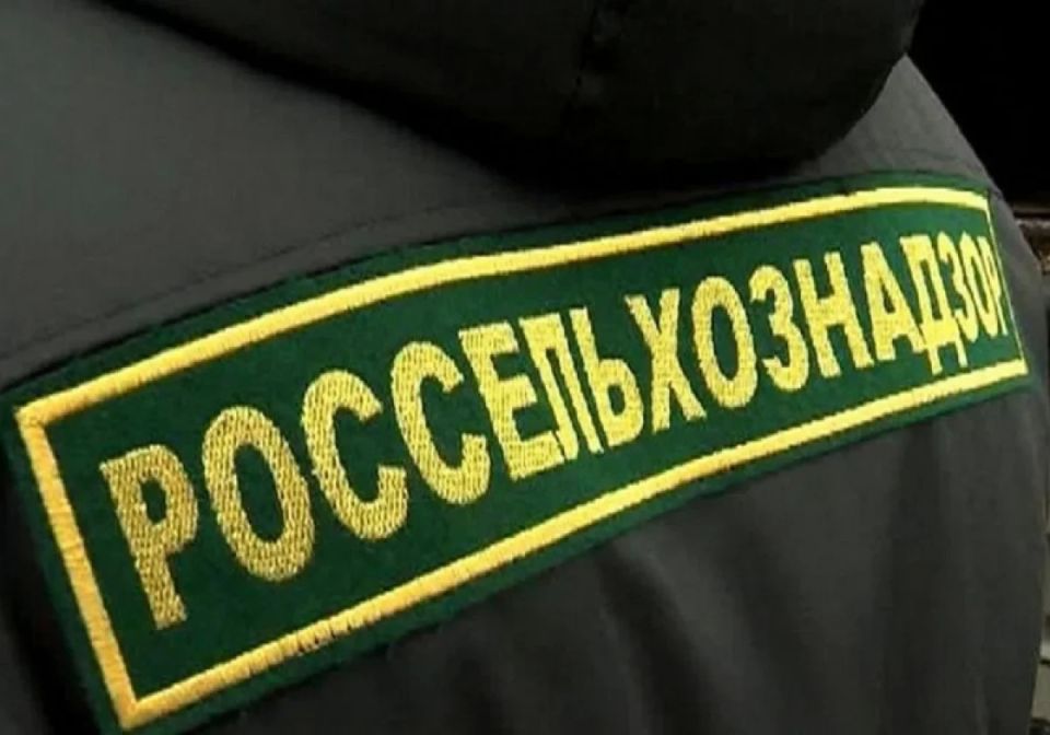 Россельхознадзор не пропустил в Самару подозрительные орехи и крупу