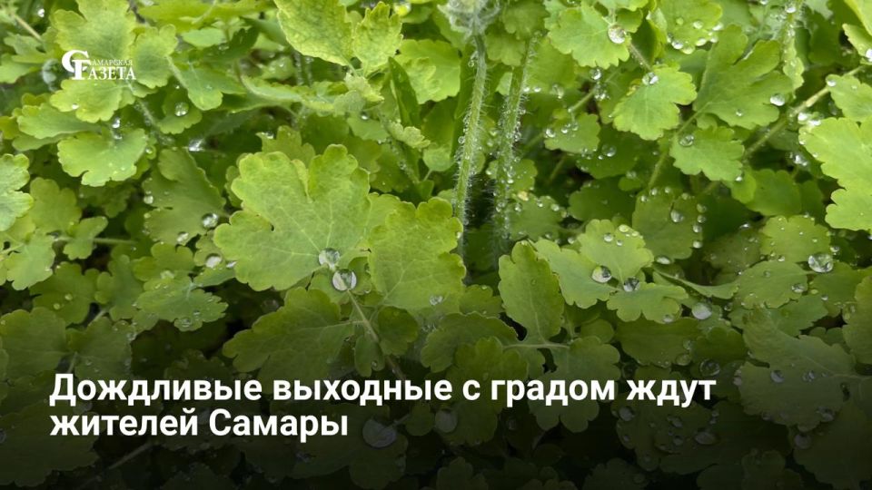 Дожди, грозы и град прогнозируют синоптики Приволжского УГМС в Самарской области в ближайшие выходные, 30 и 31 мая