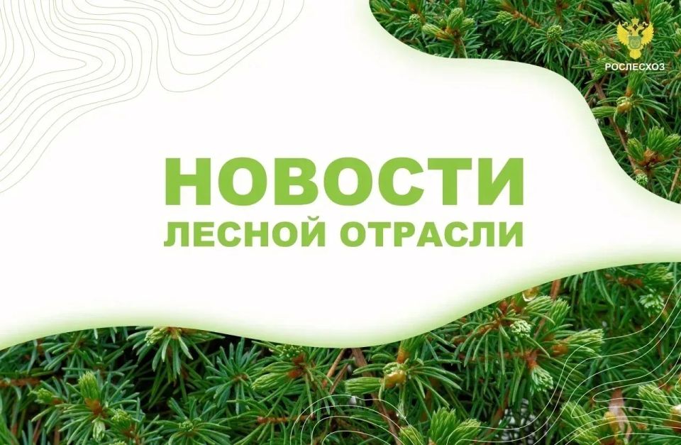 НИА Байкал: Иван Советников и Роман Колесов обсудили меры по защите лесов Иркутской области от пожаров