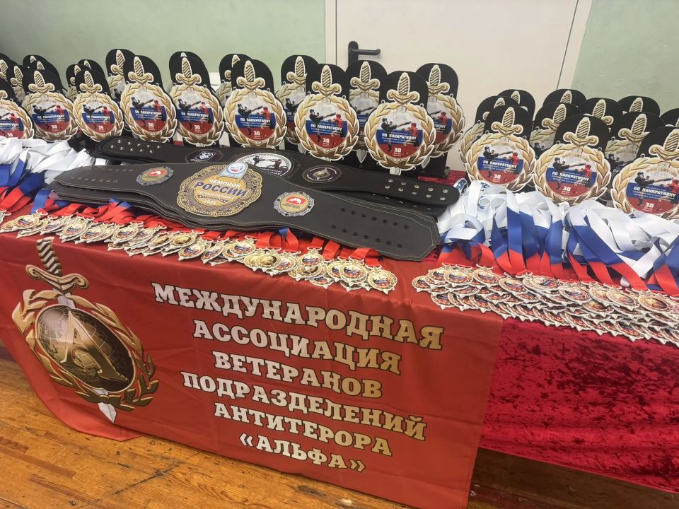 Память, мужество и спорт: в Тольятти проходит турнир по панкратиону Память, мужество и спорт: в Тольятти проходит турнир по панкратиону