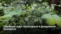 � ��������� ��������, 6 � 7 ����, � ��������� ������� ��������� ���������� ������ � �������� ������