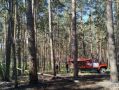 Лесопожарная обстановка в Самарской области за прошедшую неделю