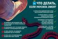 Осторожно, змеи! Как обезопасить себя на природе?