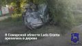 В Сызрани на улице Декабристов Lada Granta вылетела с дороги и врезалась в дерево