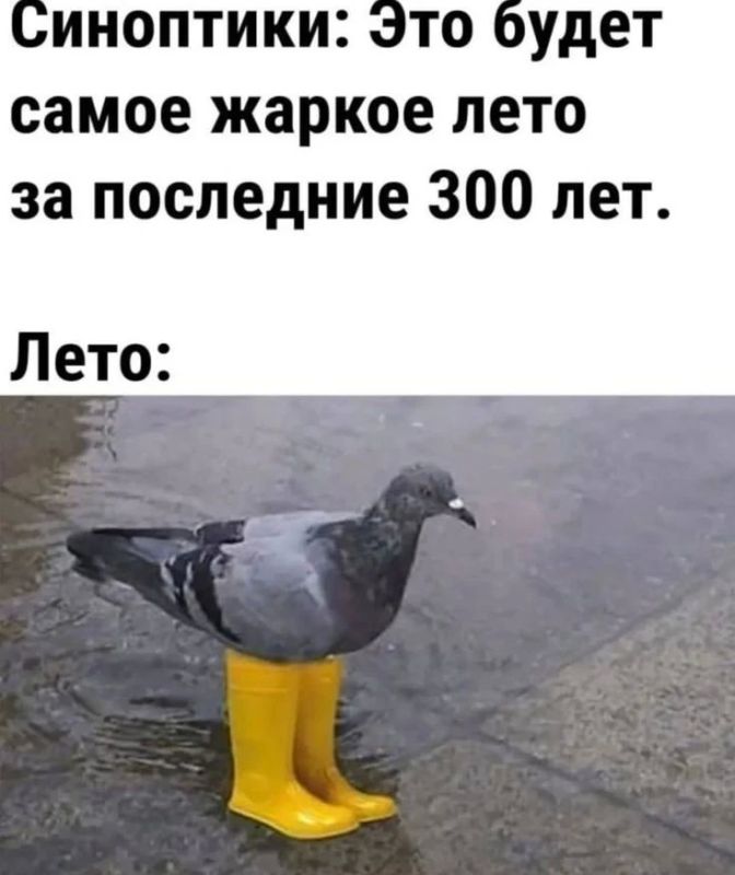 Жара и грозы: какой будет погода на праздничные выходные?