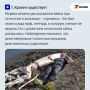 Кракены, волны-убийцы и остановка Гольфстрима: правда и мифы о мировом океане