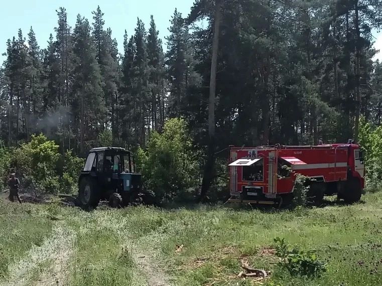 Лесопожарная обстановка в Самарской области за прошедшую неделю