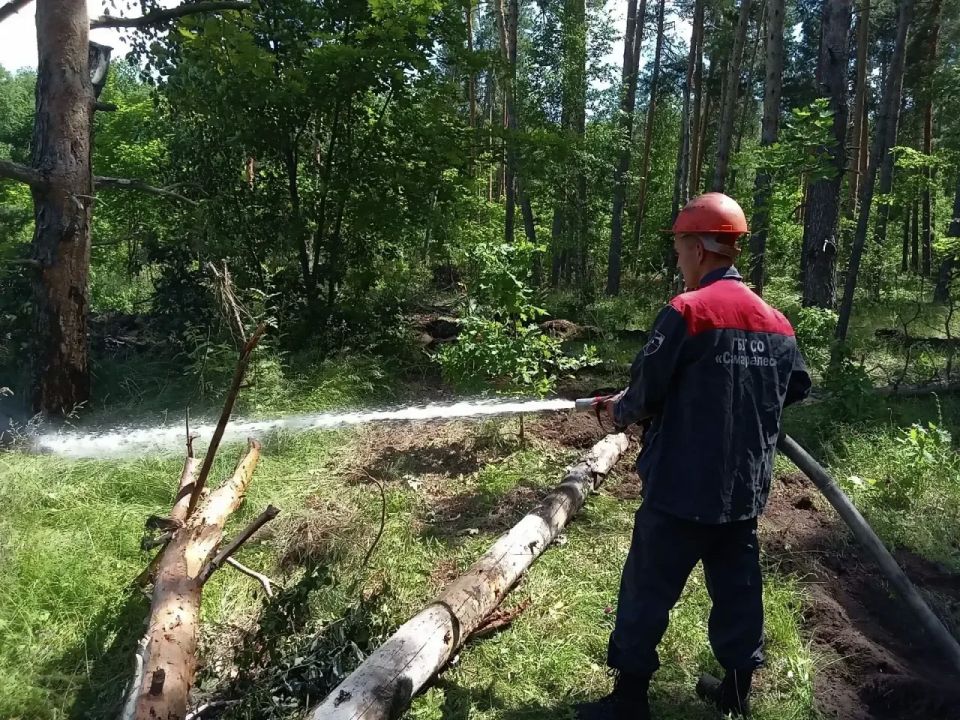 Лесопожарная обстановка в Самарской области за прошедшую неделю Лесопожарная обстановка в Самарской области за прошедшую неделю